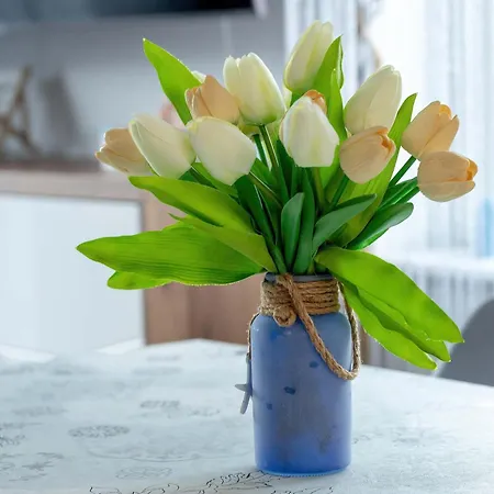 Dwupoziomowy W Nadmorskim Klimacie Z Balkonem By Renters *
